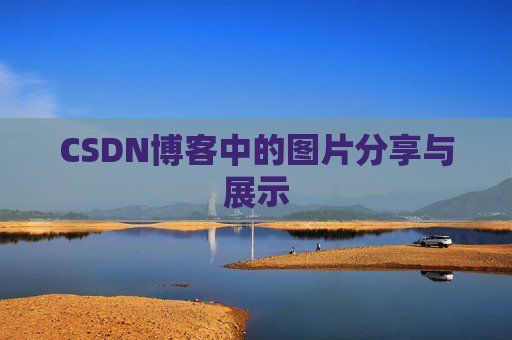 CSDN博客中的图片分享与展示